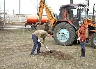Озеленення Вишневого