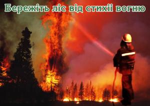 ОСНОВНІ ВИМОГИ ПОЖЕЖНОЇ БЕЗПЕКИ ПІД ЧАС ПЕРЕБУВАННЯ У ЛІСІ