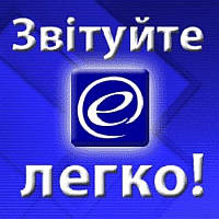 Особливості функціонування системи електронного адміністрування ПДВ розглядали на кущовому семінарі в Київській області