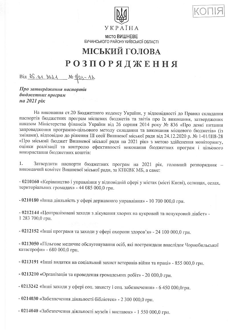 Про затвердження паспортів бюджетних програм в новій редакції на 2021 рік
