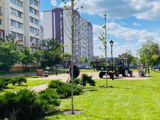 Триває озеленення в громаді 