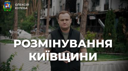 Олексій Кулеба: На сьогодні обстежено 270 населених пунктів області на наявність вибухонебезпечних предметів (Відео)