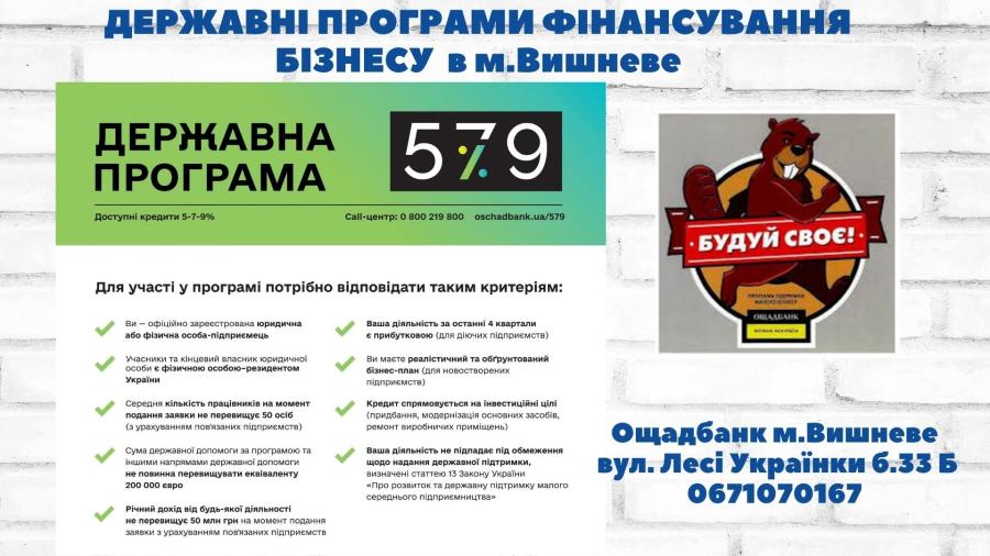 Державні програми фінансування бізнесу в м.Вишневе