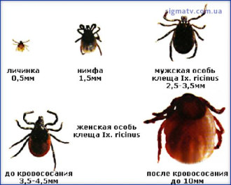 ВЕСНЯНО-ЛІТНІЙ ЕНЦЕФАЛІТ (ПСИХІЧНІ РОЗЛАДИ)